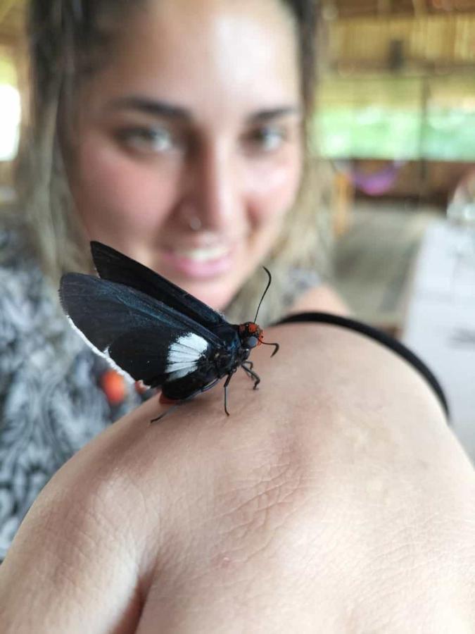 Paucarpata  Intillama Jungle Lodge Eirl מראה חיצוני תמונה