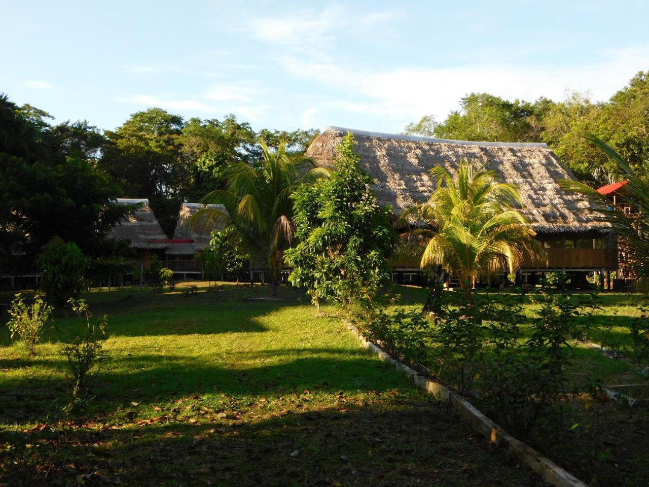 Paucarpata  Intillama Jungle Lodge Eirl מראה חיצוני תמונה