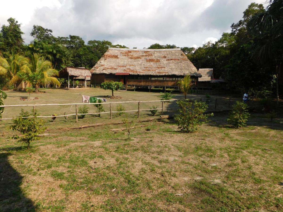 Paucarpata  Intillama Jungle Lodge Eirl מראה חיצוני תמונה
