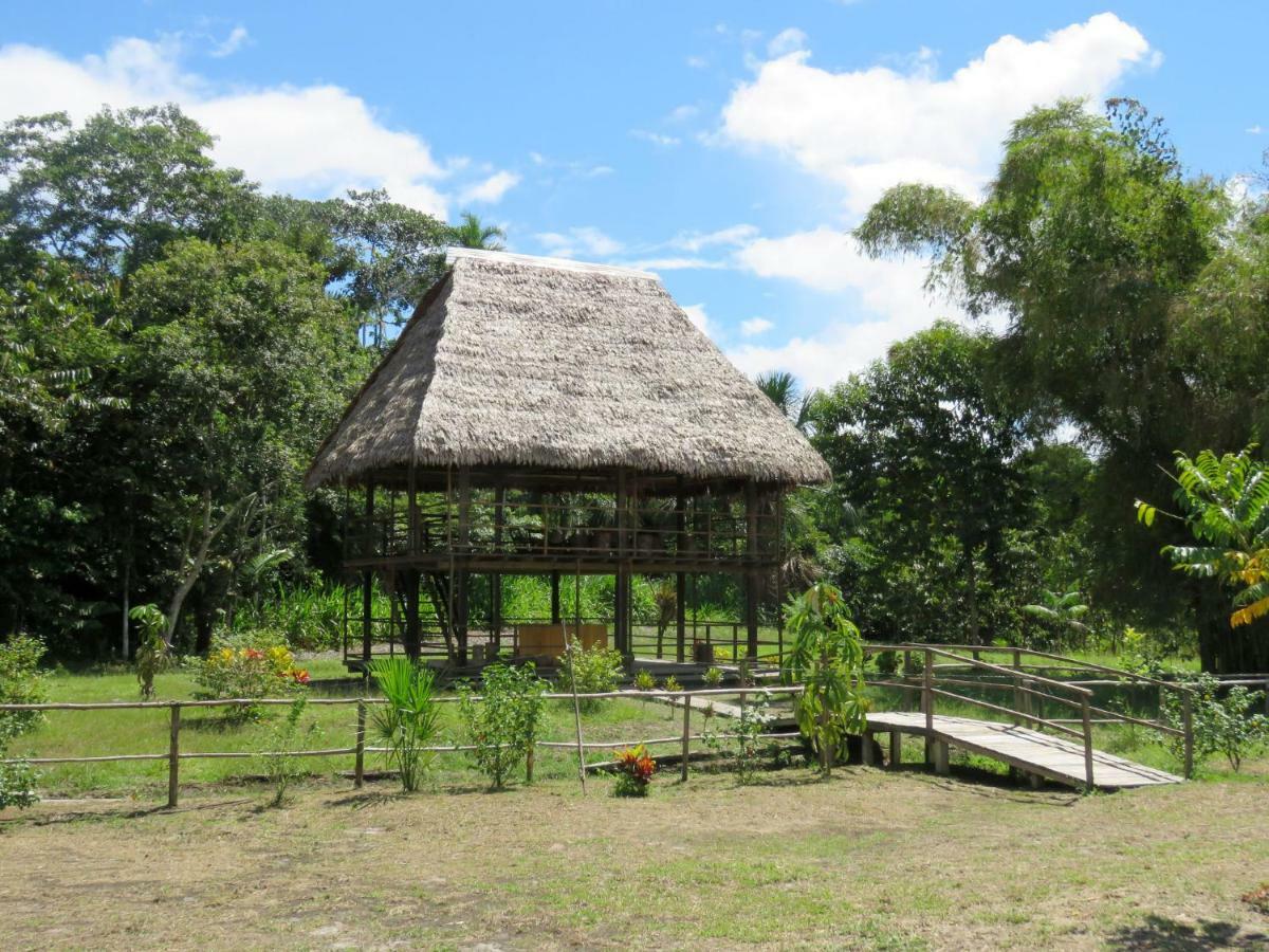 Paucarpata  Intillama Jungle Lodge Eirl מראה חיצוני תמונה