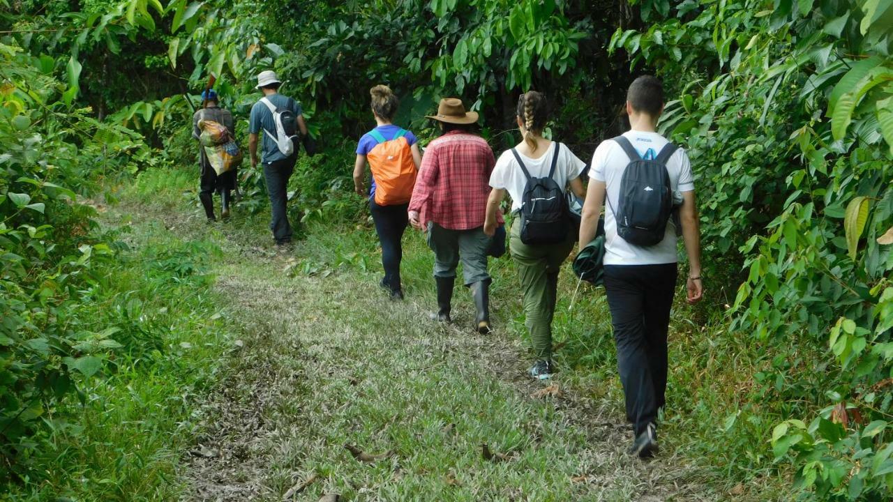 Paucarpata  Intillama Jungle Lodge Eirl מראה חיצוני תמונה